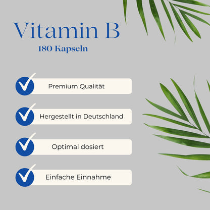 Vitamin-B Komplex