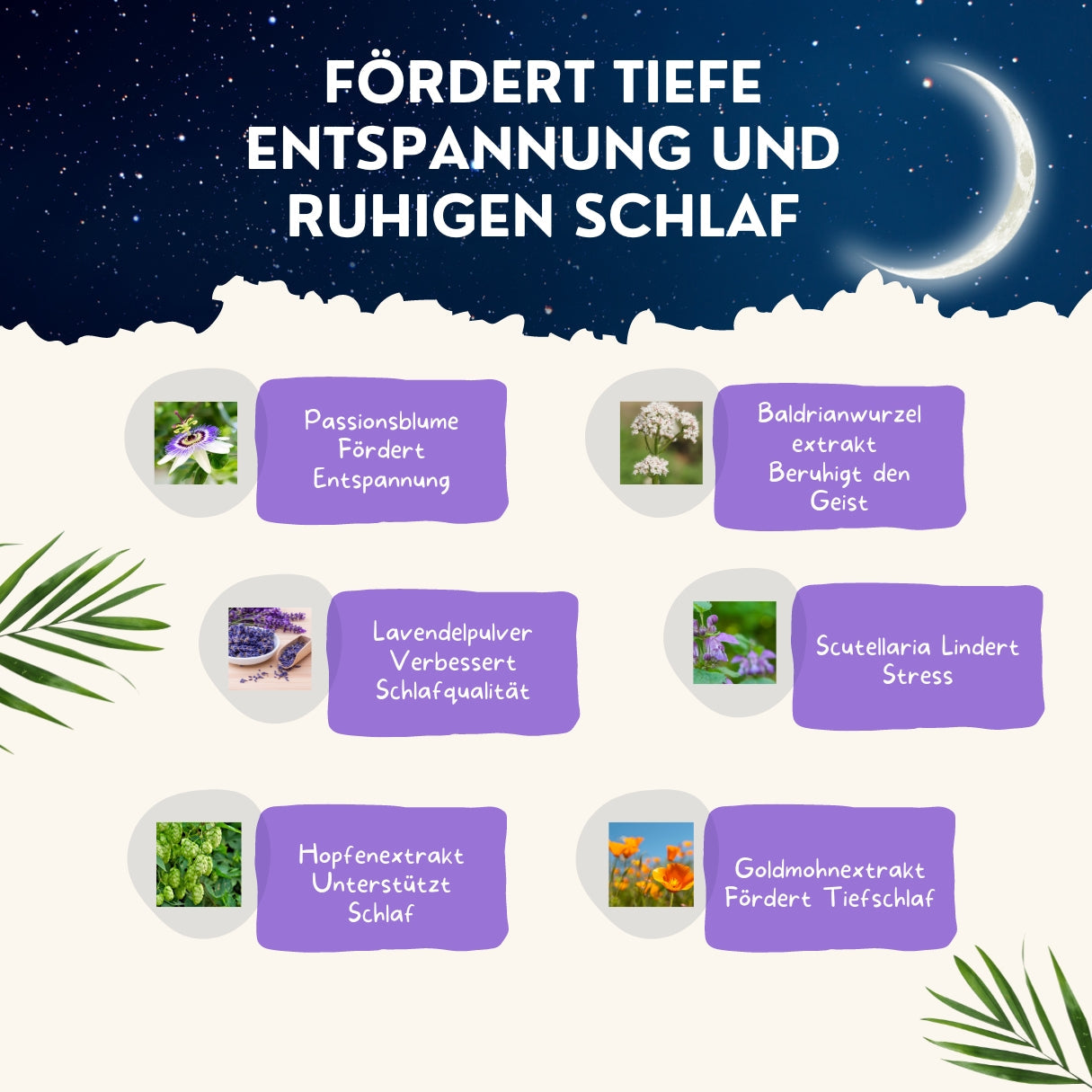 Abendruhe Kapseln