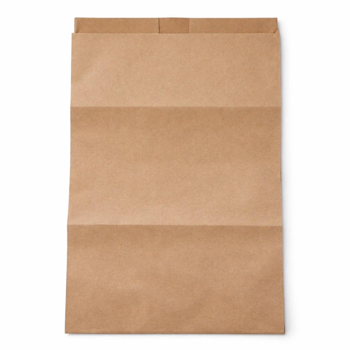 Papiertüten für Biomüll 10l | Müllbeutel für Biotonne